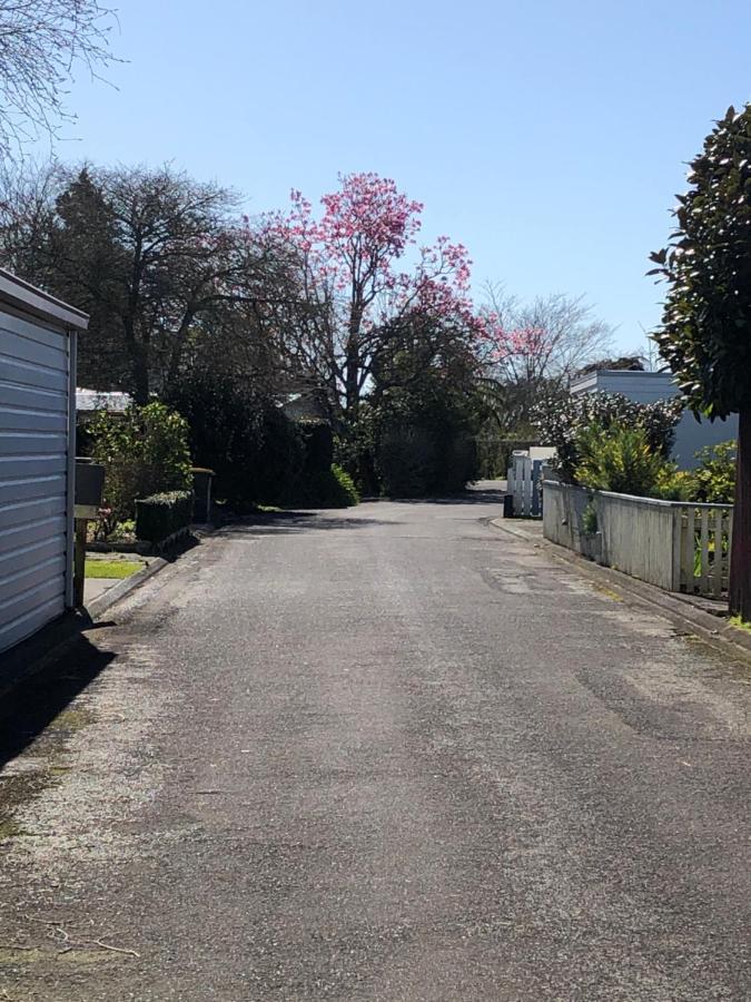 Inglewood Shared Home Bnb นิวพลีมัธ ภายนอก รูปภาพ